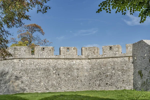 Histórica Pared Piedra Envejecido Patrón Fondo Con Cielo Azul Hojas —  Fotos de Stock