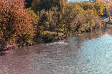 Nehrin bir kısmı ağaç ve çalılarla dolu.