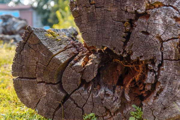 Oude Houten Hout Textuur Achtergrond — Stockfoto