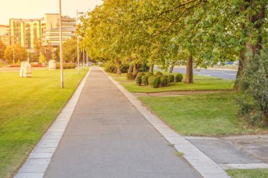 Güzel bir şehir parkında gezinti