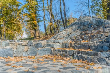 Sonbahar yapraklarıyla dolu taş merdivenler orman ve gökyüzü arka planında