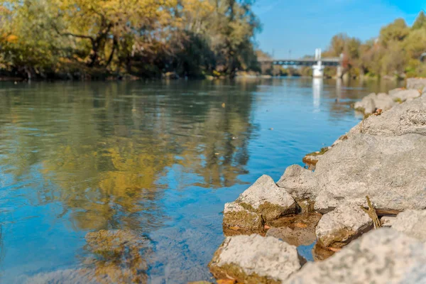 Річковий Камінь Брудом Відображенням Дерева Річці — стокове фото