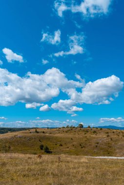 Mavi bulutlu gökyüzü ve yeşil sarı elbiseli çayırlar. 