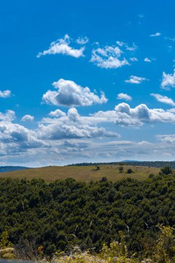 Mavi gökyüzü ve tepeden yeşil giysileri olan çayırlar.
