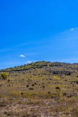 Berrak mavi bulutlu gökyüzü ve yeşil sarı elbiseli çayırlar.