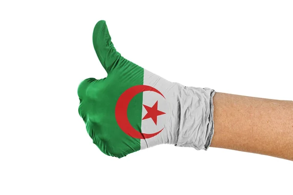 Algieria Flaga Rękawicy Pokazano Kciuki Góry Znak — Zdjęcie stockowe