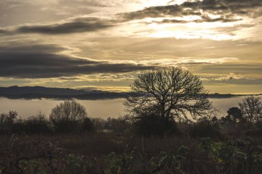 Ovalı vadi ve dağları süpüren bulutlu ormanlar.