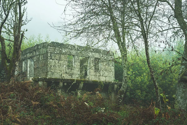 放棄された石の住居の構造や植生に支配され — ストック写真