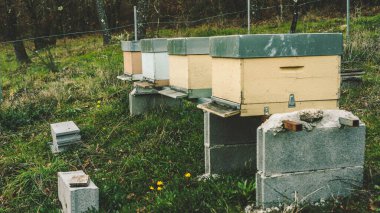 Bir ev çiftliğinde arı kovanları