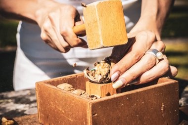 Bir kadının elleri bir şeye vuruyor. Bir fındık açılıyor.