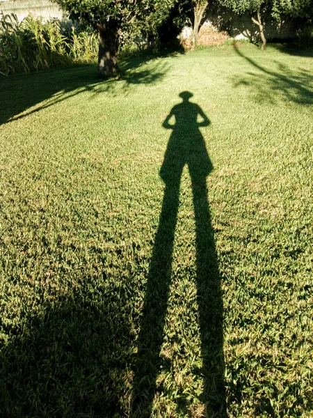 shadow of a man with a hat on a meadow that is lengthened by the sun\'s rays at dusk