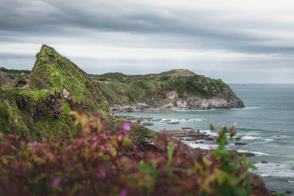 GÖZLÜK VE YAŞIKLARIN YAŞILARI