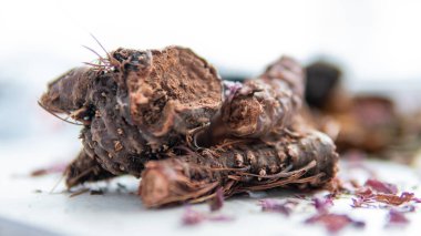 Şifalı bitkilerden, köklerden ve çiçeklerden tıbbi karışımlar. Sağlıklı bir yaşam için geleneksel tıp