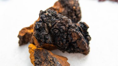 Sağlıklı bir hayat için yararlı mantar takviyeleri. Betulin - Inonotus oblikus 'un aktif bileşeni.