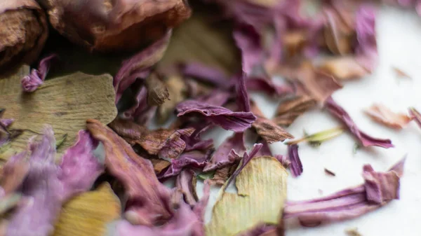 Mélanges Médicinaux Base Herbes Racines Fleurs Médecine Traditionnelle Pour Une — Photo