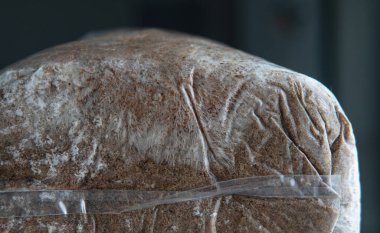 Substrat boyunca bir miselyum ağı geliştirmek. Yiyecek ekimi ve mantar tıbbi kültürleri için destek