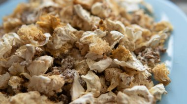 Hericium erinaceus 'un kurumuş meyve veren vücutları. Mantar aslanının yelesinin meyveli gövdelerinin bileşiminde kullanışlı maddeler. Erinacins ve Hericenones