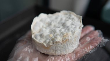 çok renkli çizgileri olan miselyumlu çavdar tohumu. Sağlıklı Yaşam İçin Mayalanmış Mantar Eklentileri