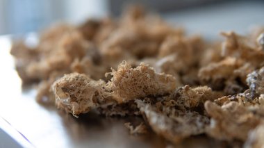 Hericium erinaceus 'un kurumuş meyve veren vücutları. Mantar aslanının yelesinin meyveli gövdelerinin bileşiminde kullanışlı maddeler. Erinacins ve Hericenones