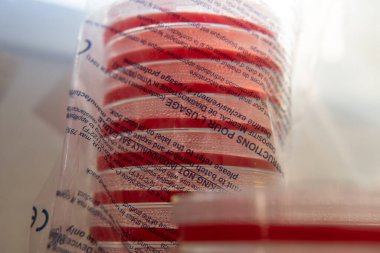 Agar 'lı petri kapları. Mikrobiyoloji ve miselyum