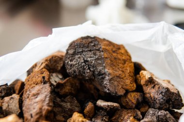 Pudralanmış Chaga mantar tozu. Çay yapmak için tıbbi mantar mantarı.