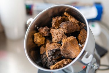 Pudralanmış Chaga mantar tozu. Çay demlemek için mantar mantarı.