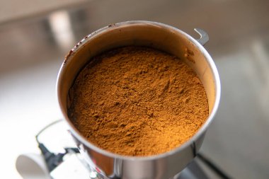 Chaga mantarı. Tıbbi mantar mantarı. Inonotus oblikus yakın plan