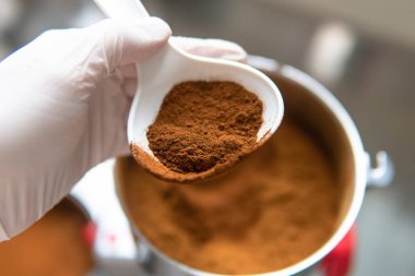 Chaga mantarı. Tıbbi mantar mantarı. Inonotus oblikus yakın plan