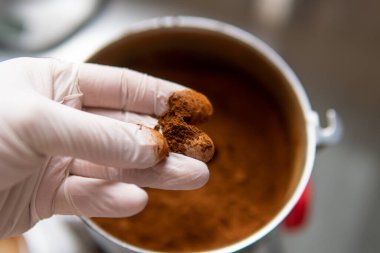 Chaga mantarı. Tıbbi mantar mantarı. Inonotus oblikus yakın plan