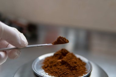 Pudralanmış Chaga mantar tozu. Çay yapmak için tıbbi mantar mantarı.