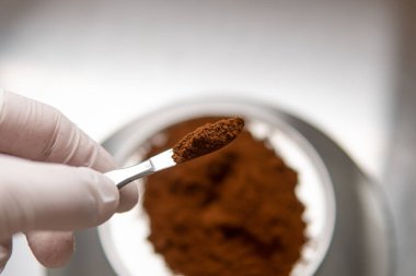 Pudralanmış Chaga mantar tozu. Çay demlemek için mantar mantarı.