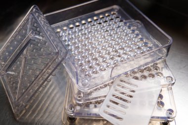 Kapsül dolum makinesi. Beslenme takviyeleri için şeffaf kapsüller. Kursların kapsül mikro dozlarının oluşturulması