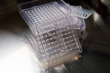 Kapsül dolum makinesi. Beslenme takviyeleri için şeffaf kapsüller.