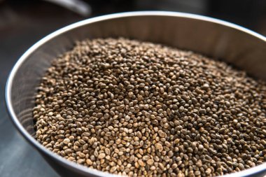 Karanlık bir arka planda taze marihuana tohumları. Diyet için tıbbi esrar tohumları.