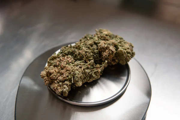 Botões Maconha Pressionados Escalas Metal Legalização Uso Recreativo Cannabis Mundo — Fotografia de Stock