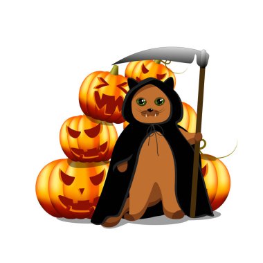 Cadılar Bayramı için tırpanlı ve balkabaklı bir kedi.