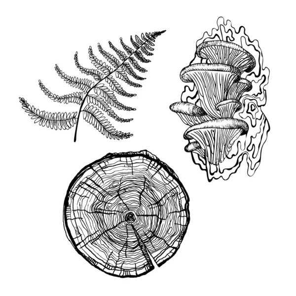 Ett Skogsset Med Svamp Ett Ormbunksblad Och Ett Sågat Träd — Stock vektor