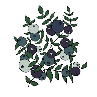  Dallı ve yaban mersinli vektör çizimi. Elle çizilmiş. Doodle tarzı.