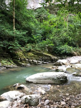 Yağmur ormanlarındaki beyaz kayalıklar