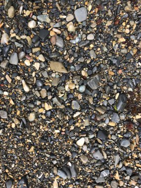 Deniz kıyısında ıslak güzel taşlar