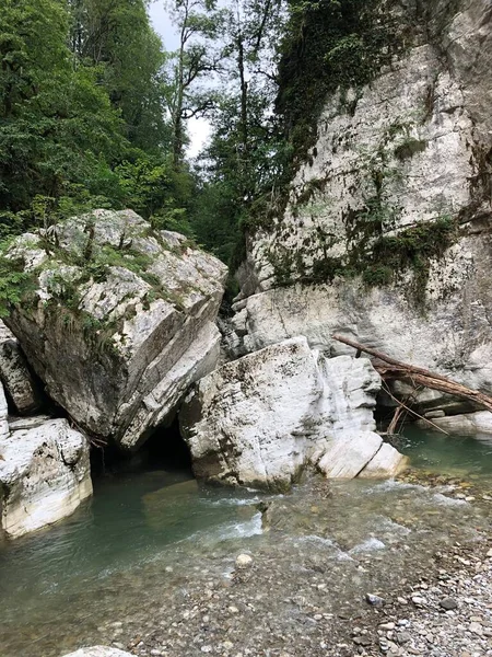 Yağmur ormanlarındaki beyaz kayalıklar