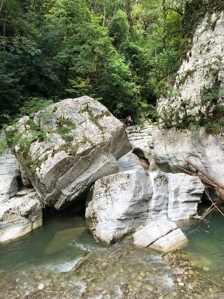 Yağmur ormanlarındaki beyaz kayalıklar