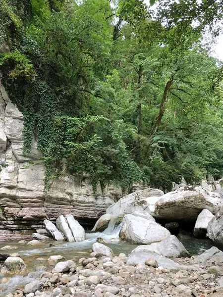Yağmur ormanlarındaki beyaz kayalıklar