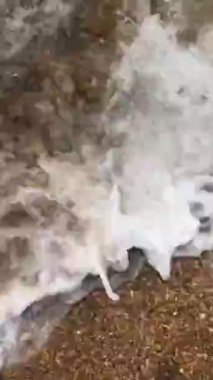 Deniz köpüğü dalgası kumlu sahili yıkar.
