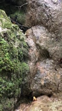 Taşların üzerinden akan küçük bir dere.