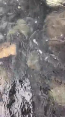 Taşların arka planında saydam deniz