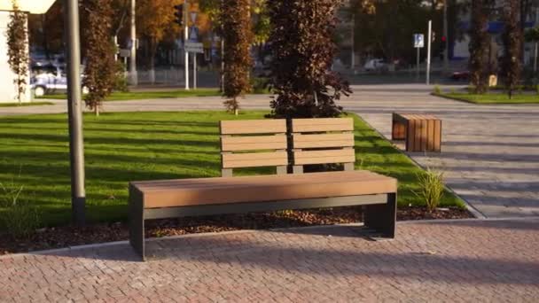 公园草坪上的现代木制长椅。日出或日落时在城市娱乐区新开的长椅风格别致.城市化主题公共空间设计.空荡荡的人行道上没有人. — 图库视频影像