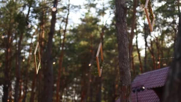 Cadres en bois avec arrangement de compositions florales suspendus sur le lieu de fête de mariage de style boho à l'extérieur dans la forêt de pins avec des lumières à cordes ou des lumières de fées. Pays ou décor écologique rustique bio. — Video