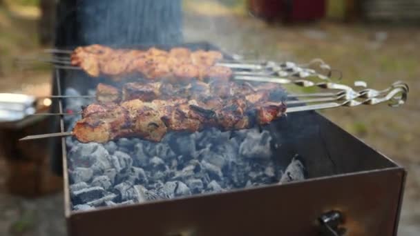 Mannen steker en saftig kebab-grill på grillen i skogen. Griller kjøtt utendørs. – stockvideo
