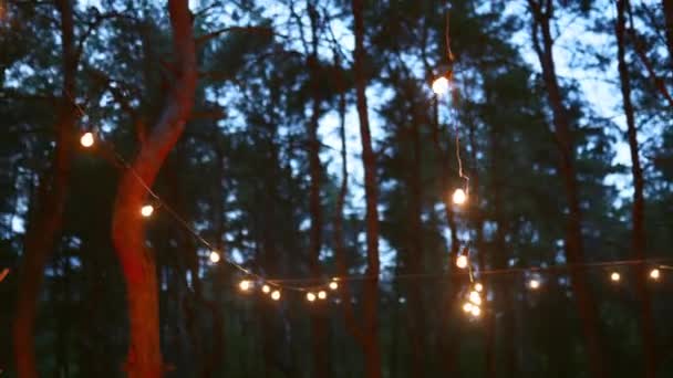 Slavnostní řetězec světla osvětlení na boho tipi oblouku výzdoba na venkovní svatební obřad místo v borovém lese v noci. Ročník řetězec světla žárovky girlandy zářící nad židlemi na letní venkovské svatbě. — Stock video